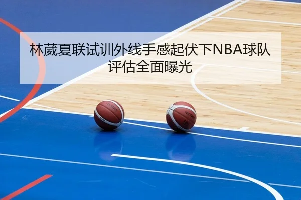林葳夏联试训外线手感起伏下NBA球队评估全面曝光